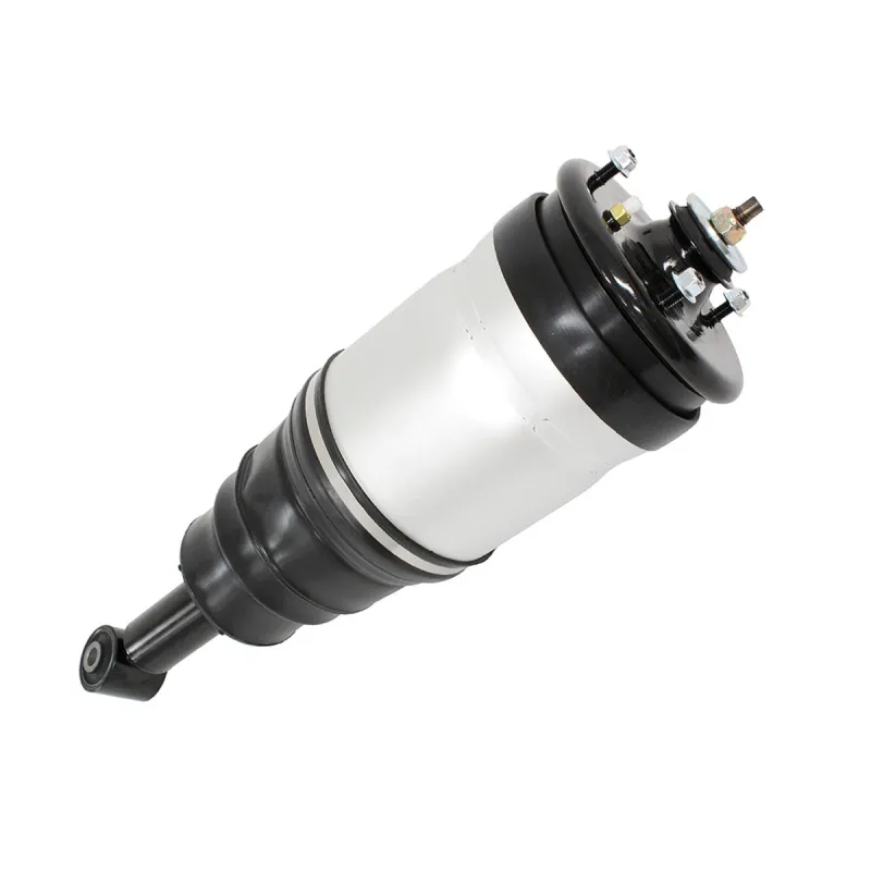 SHOCK ABSORBER & AIR SPRING