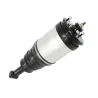 SHOCK ABSORBER & AIR SPRING