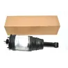 DAMPER - ASSEMBLY - REAR SUSPENSION