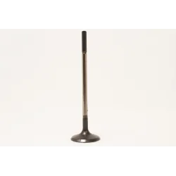VALVE-INLET