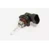 BULB - FRONT