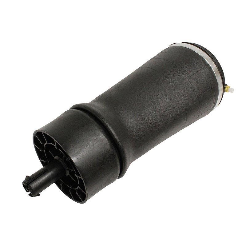 AIR SPRING