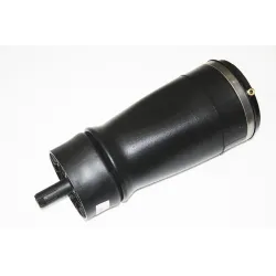 AIR SPRING - REAR - RH