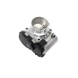 THROTTLE BODY AND MOTOR