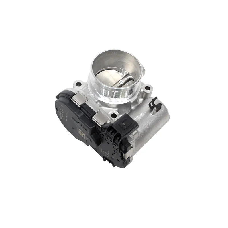 THROTTLE BODY AND MOTOR