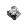THROTTLE BODY AND MOTOR