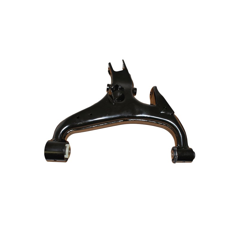 ARM - REAR LOWER RH
