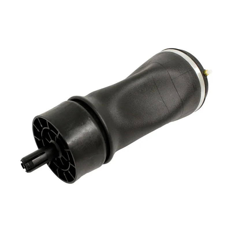 AIR SPRING