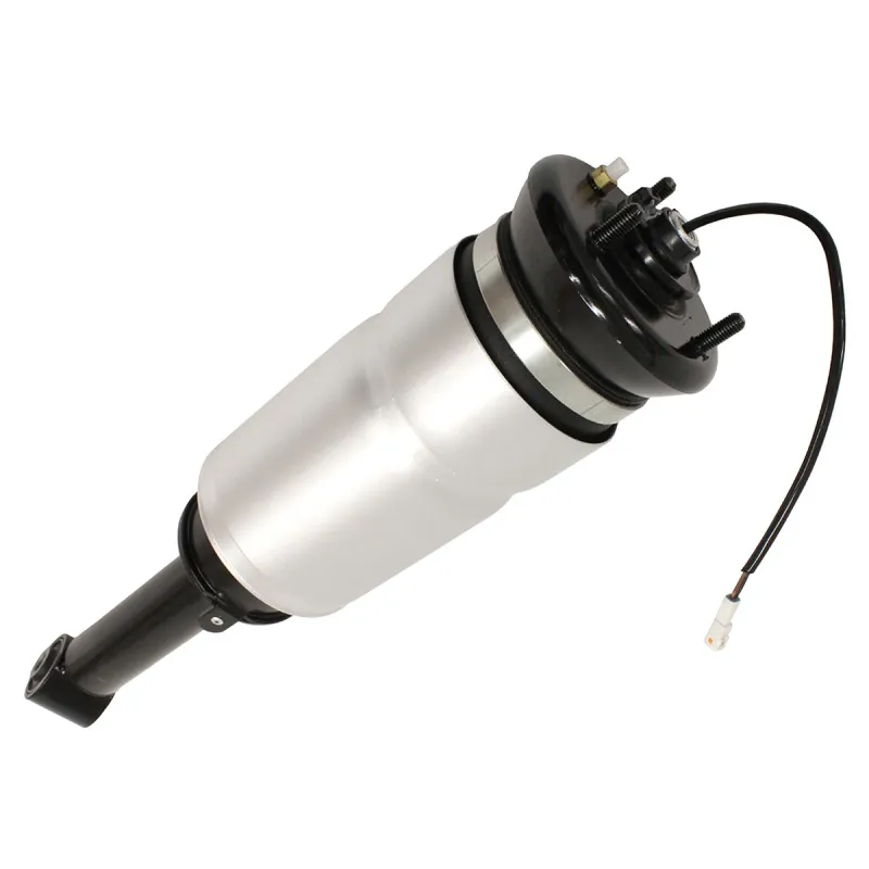 SHOCK ABSORBER & AIR SPRING