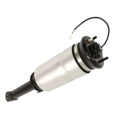 SHOCK ABSORBER & AIR SPRING