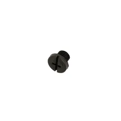 VALVE - BLEEDER SCREW