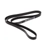 BELT - ACCESORY DRIVE