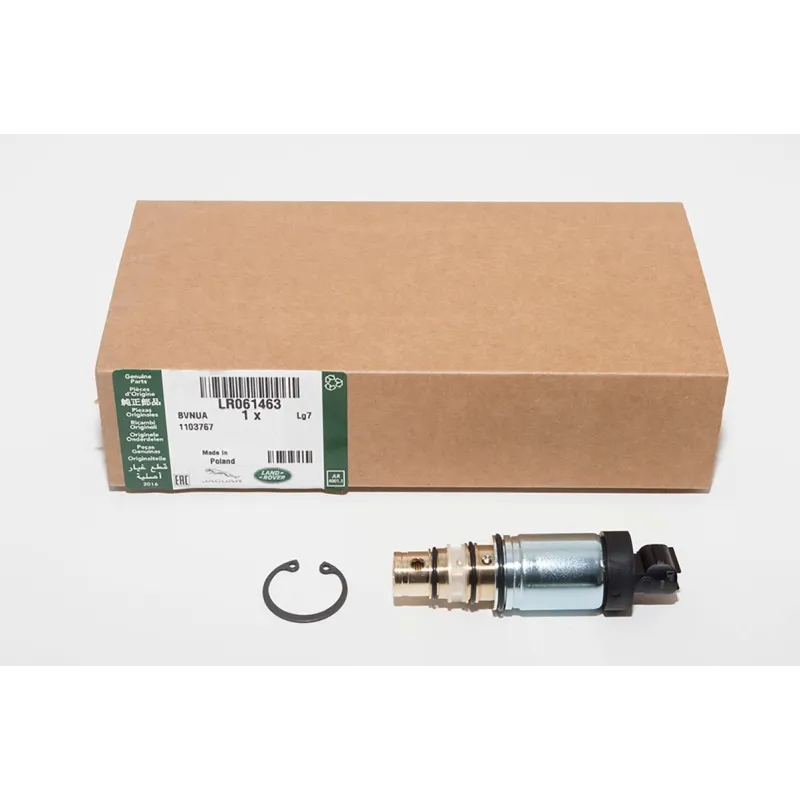 KIT - VALVE REPAIR