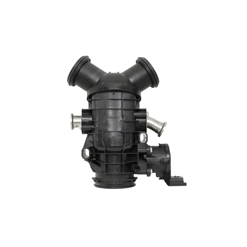 THROTTLE BODY AND MOTOR