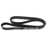BELT - ACCESSORY DRIVE