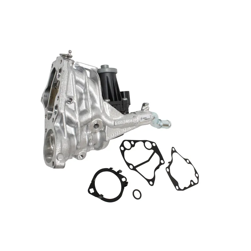 EGR VALVE AND GASKET