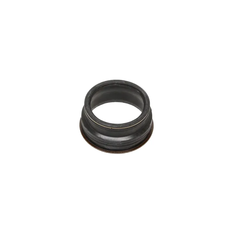 GASKET - VALVE