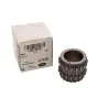 GEAR - CRANKSHAFT