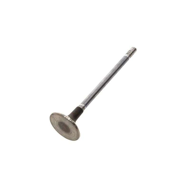 VALVE - INLET