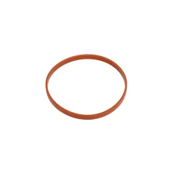 Gasket - Throttle