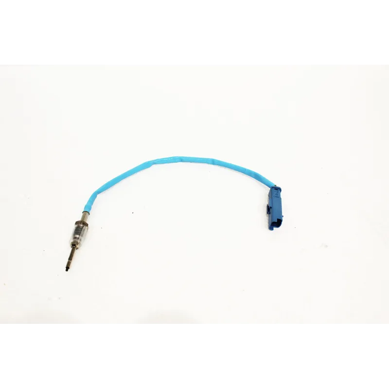 SENSOR - EXHAUST GAS - TEMPERATU