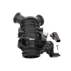 THROTTLE BODY AND MOTOR