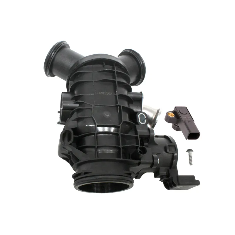THROTTLE BODY AND MOTOR