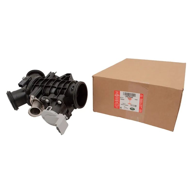 THROTTLE BODY AND MOTOR