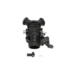 THROTTLE BODY AND MOTOR