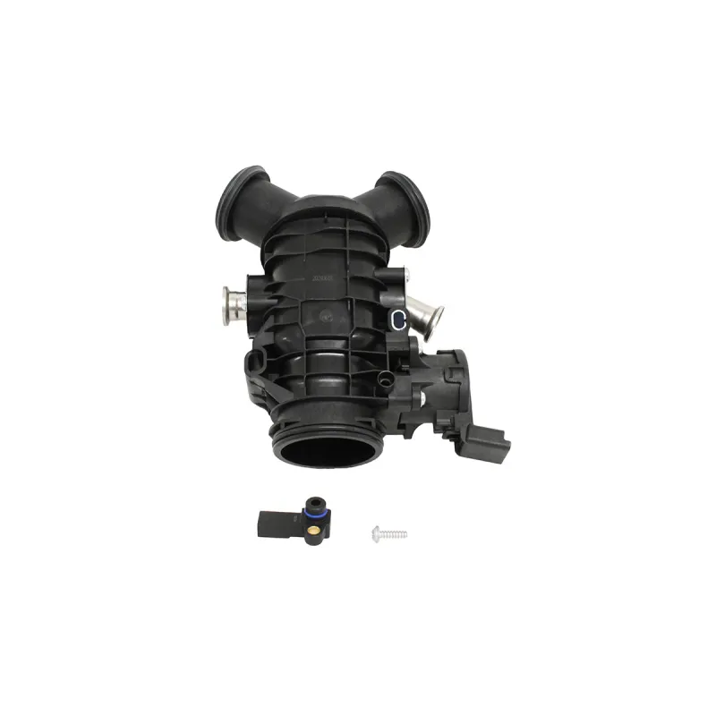 THROTTLE BODY AND MOTOR