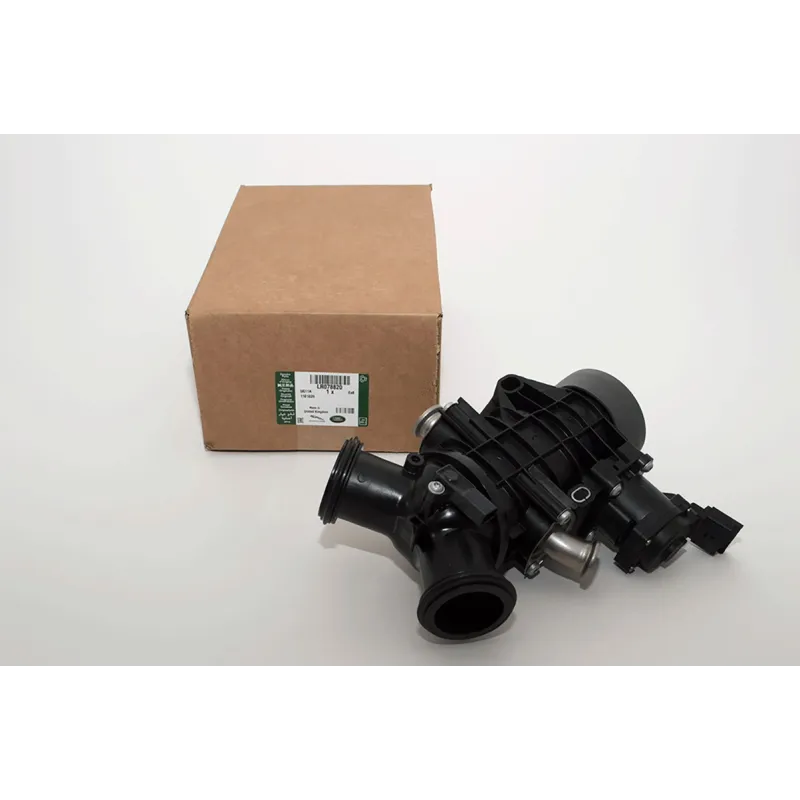 THROTTLE BODY AND MOTOR