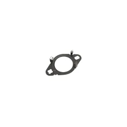Gasket - EGR Outlet