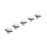 CLIP