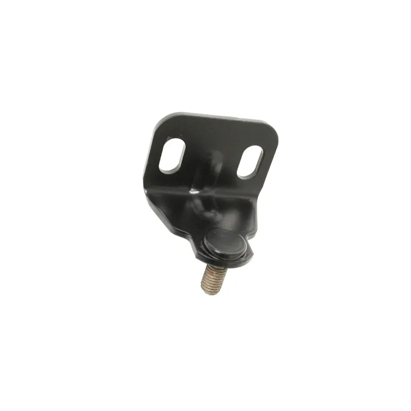 BRACKET - REAR DOOR CHECK ARM PIVOT