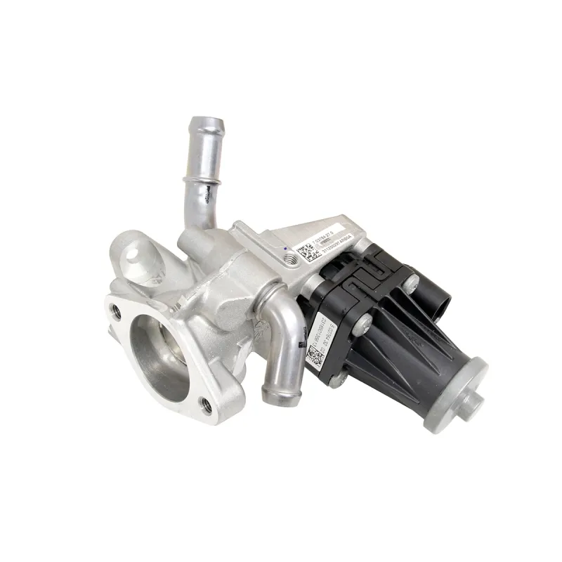 VALVE - EGR