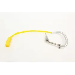 SENSOR - EXHAUST GAS - TEMPERATU