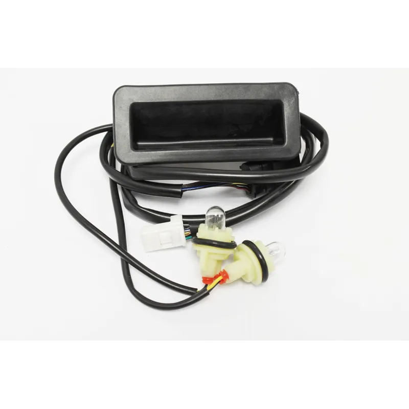 SWITCH - TAILGATE LOCK CONTROLS