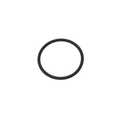 O RING