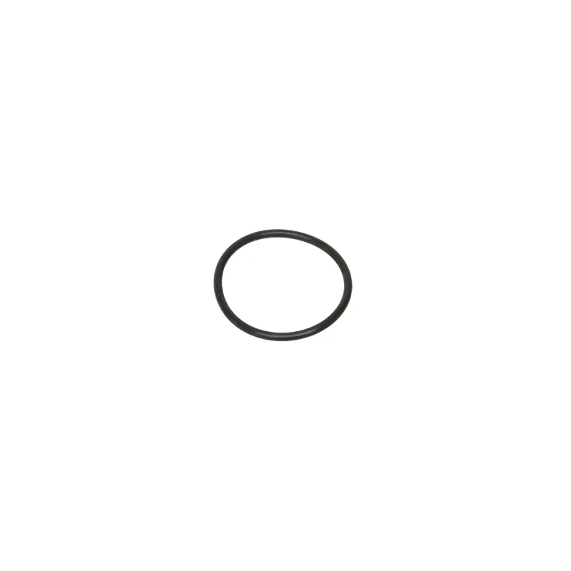 O RING