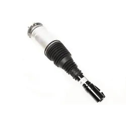 MACPHERSON STRUT