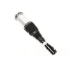 MACPHERSON STRUT
