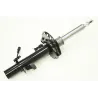 MACPHERSON STRUT
