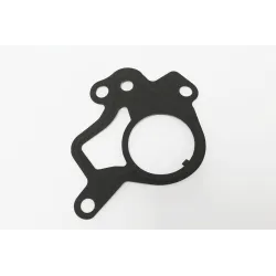 GASKET - VACUUM PUMP