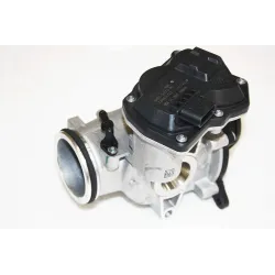 EGR VALVE + THROTTLE BODY ASSY