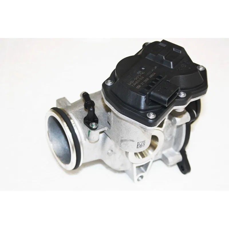 EGR VALVE + THROTTLE BODY ASSY