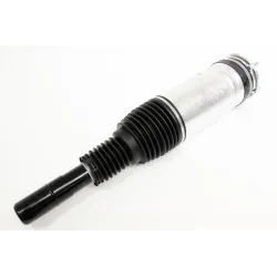 AIR SPRING+DAMPER ASSY