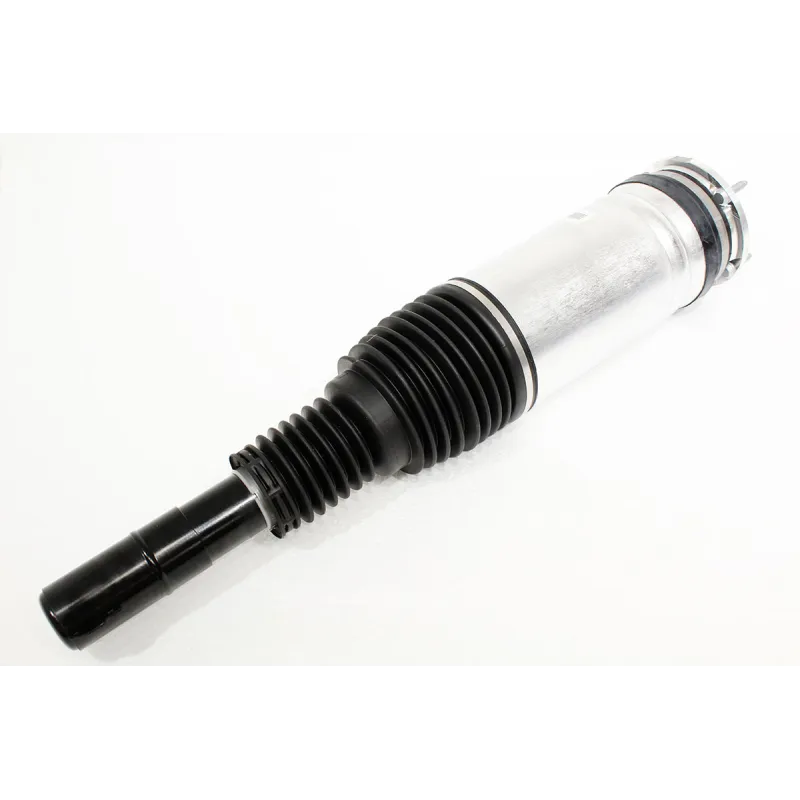 AIR SPRING+DAMPER ASSY