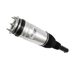 AIR SPRING+DAMPER ASSY