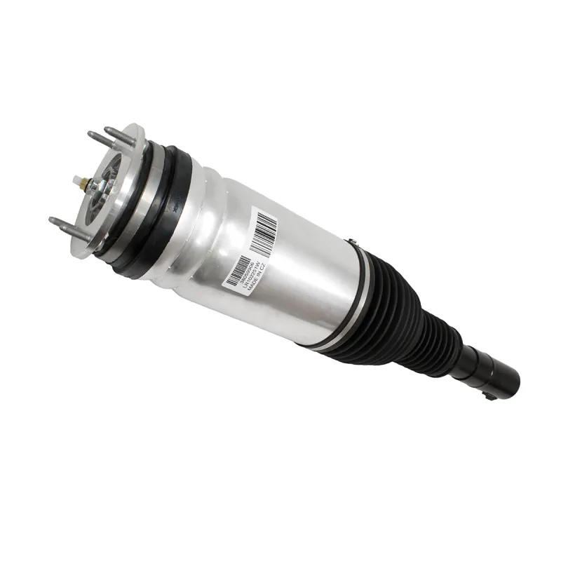 AIR SPRING+DAMPER ASSY