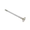 VALVE - EXHAUST